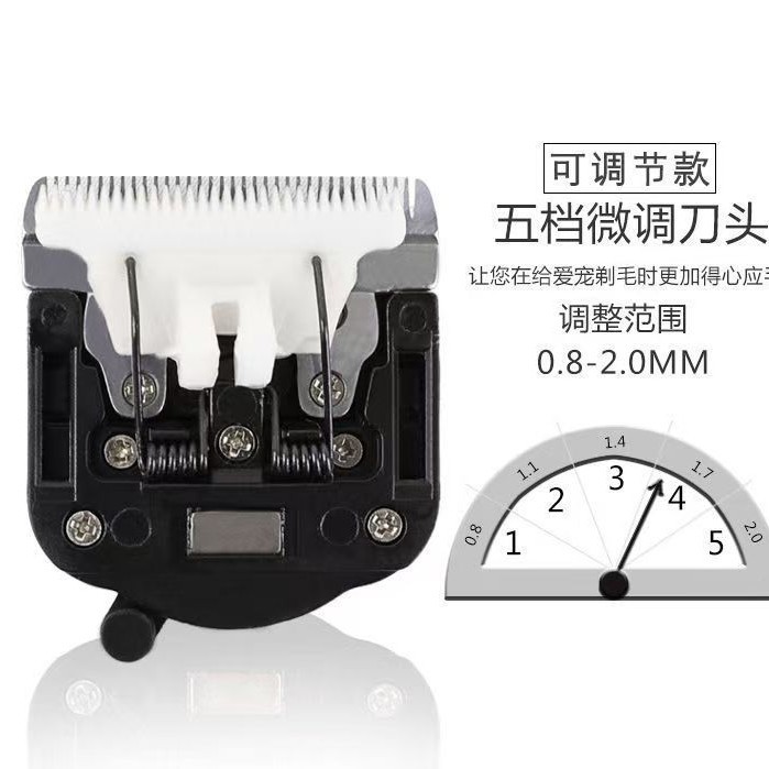 2025-02-13 10:42:56.jpg