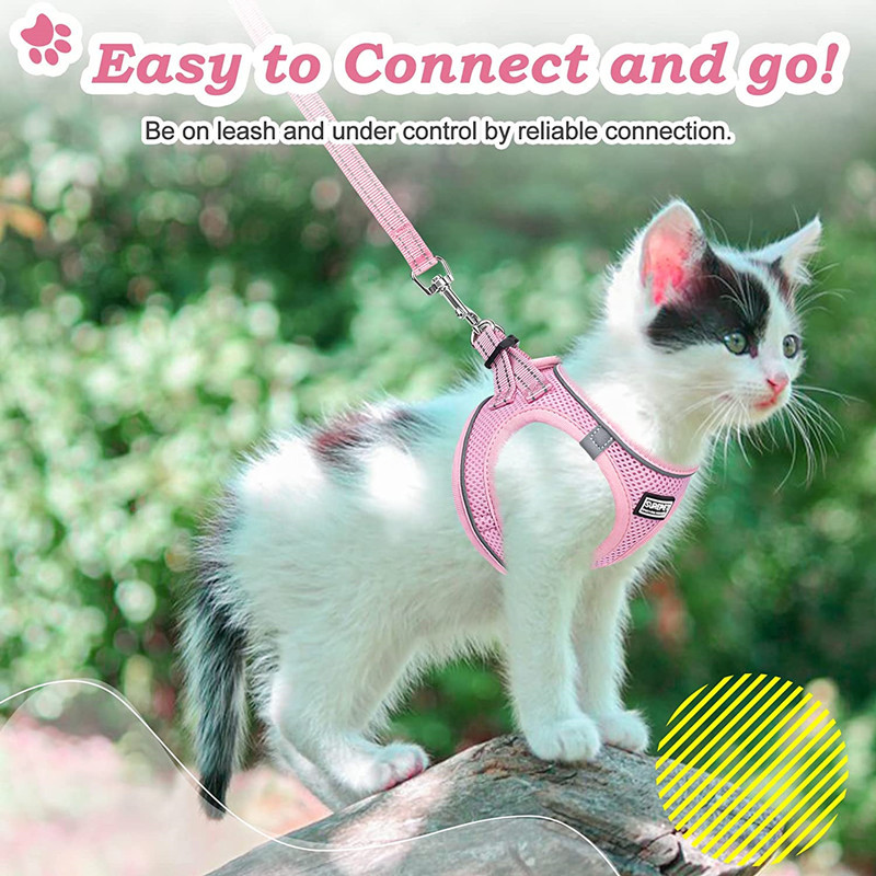 71v2aefc46L._AC_SL1500_