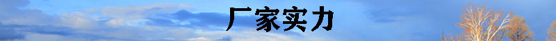 厂家实力-3