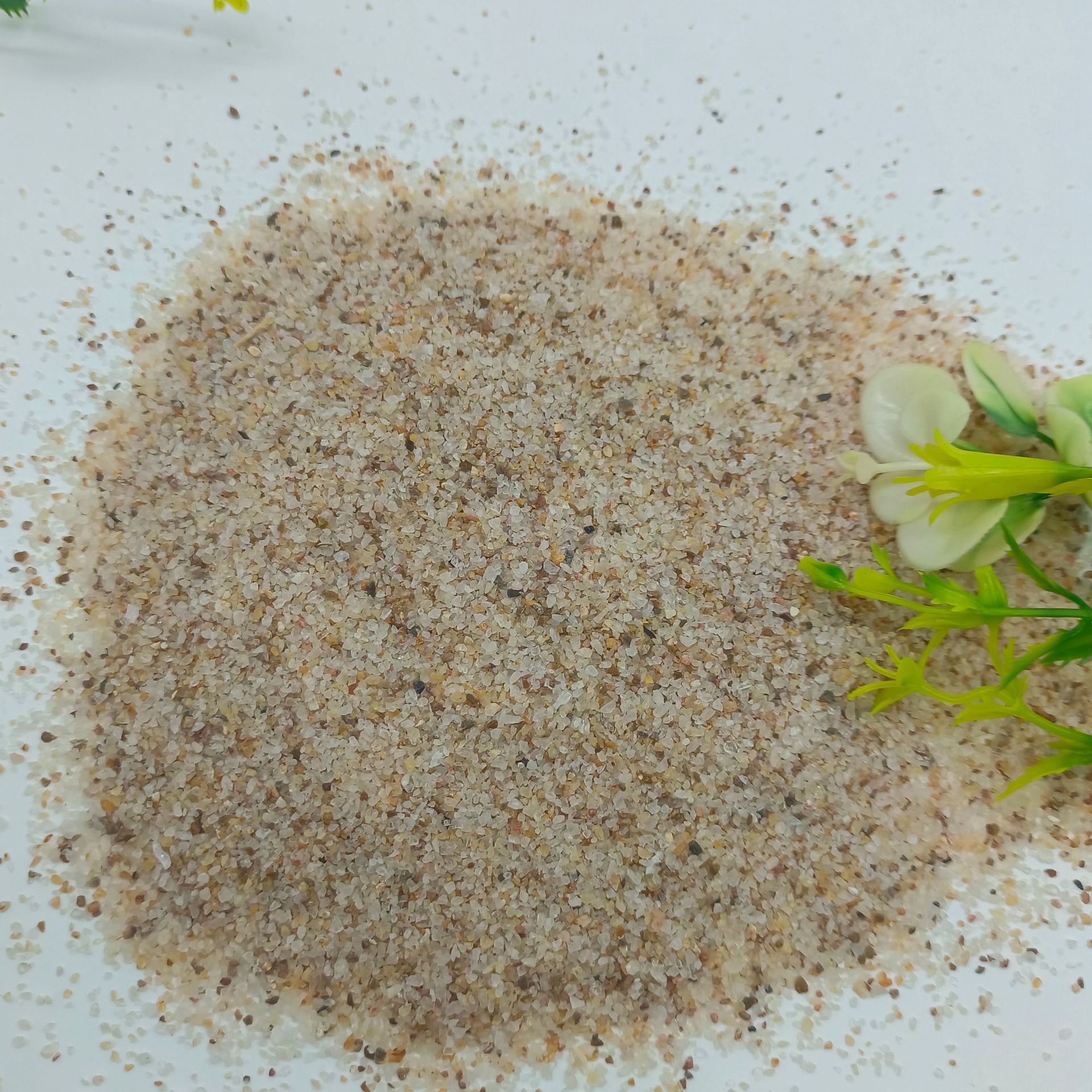 微信图片_20240918121024