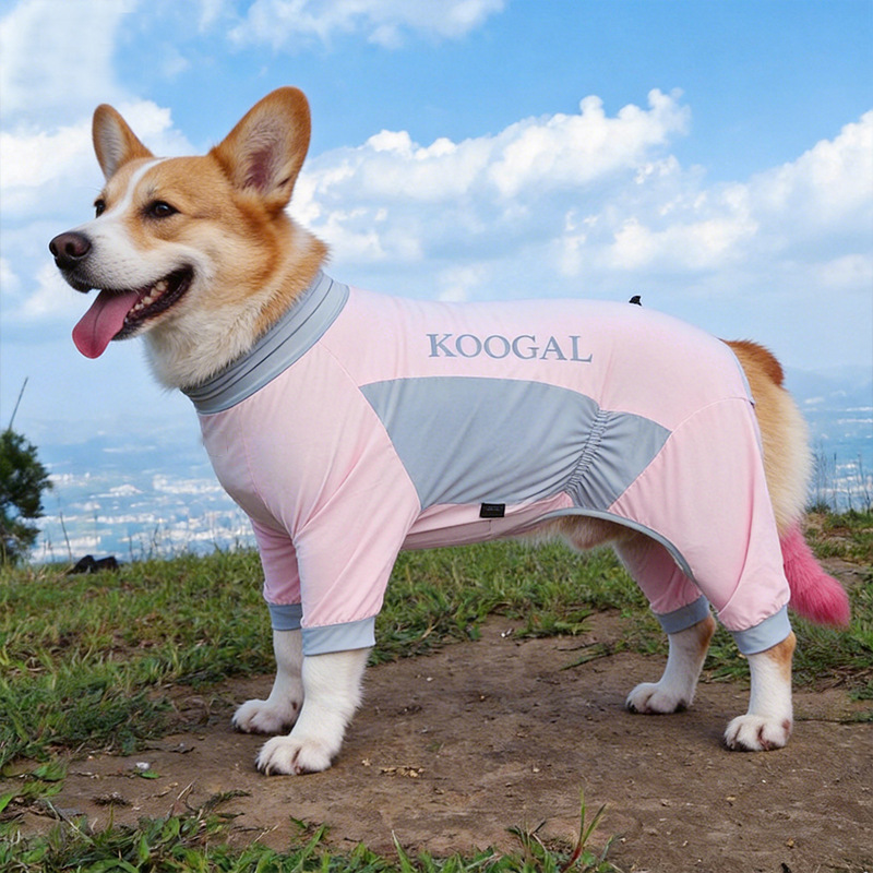 6459feae6e607bb9937acf4d49e06c