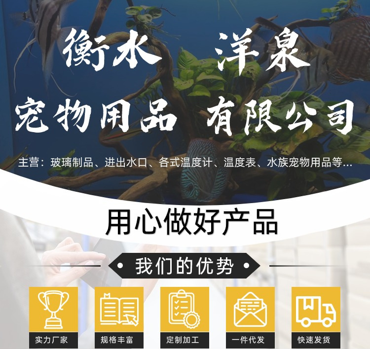 洋泉