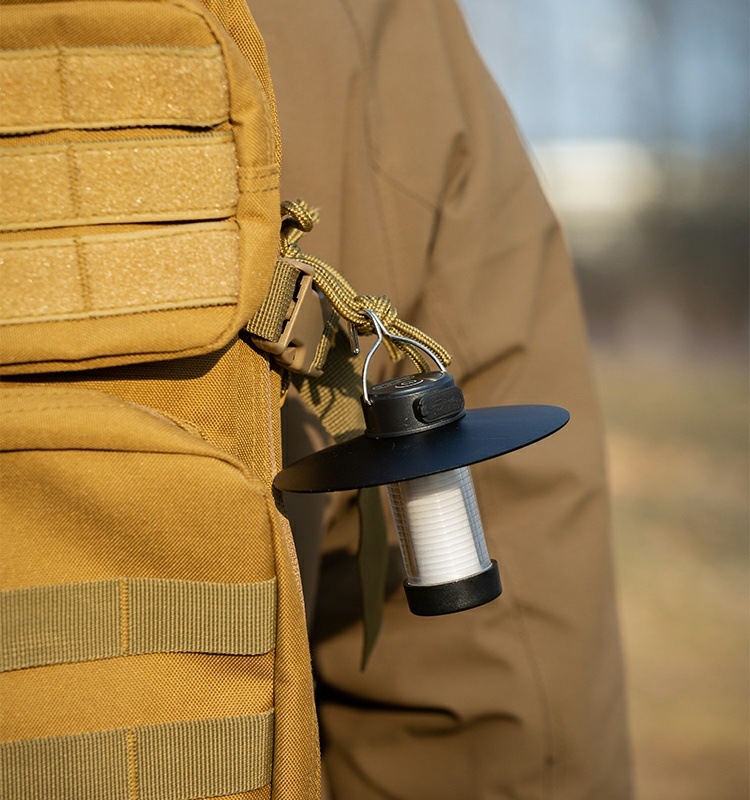 25726354-539d-4885-81b8-161aca117119.jpe