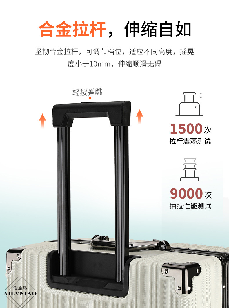 详情 (17)