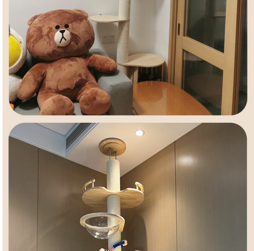 93caf186-6d05-4e94-9913-b70a303066cf.jpe