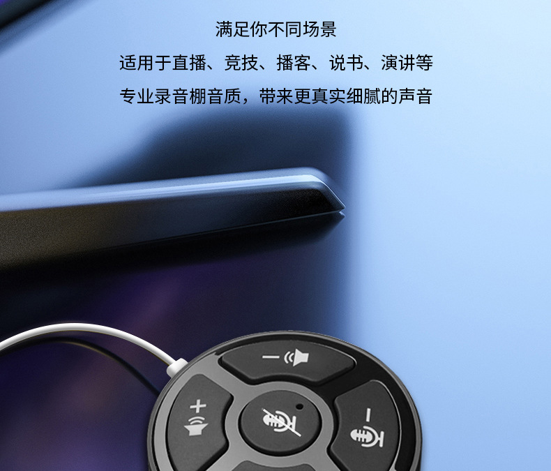 音响一体麦克风