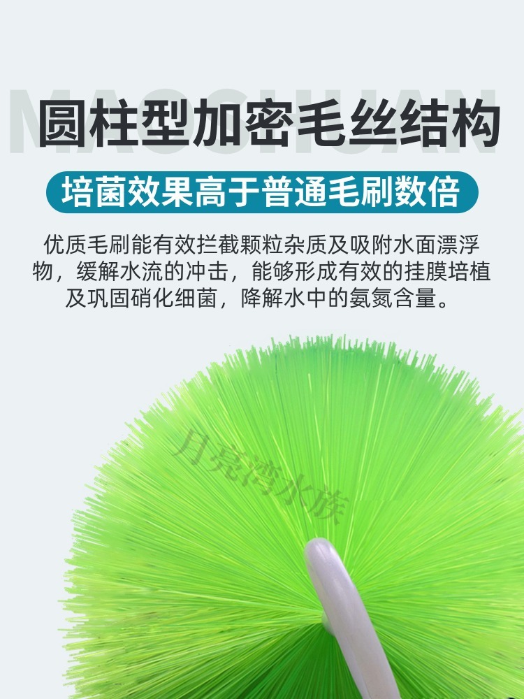 fab6ad5c-9e82-4c32-aec6-1a41a7084146.jpe