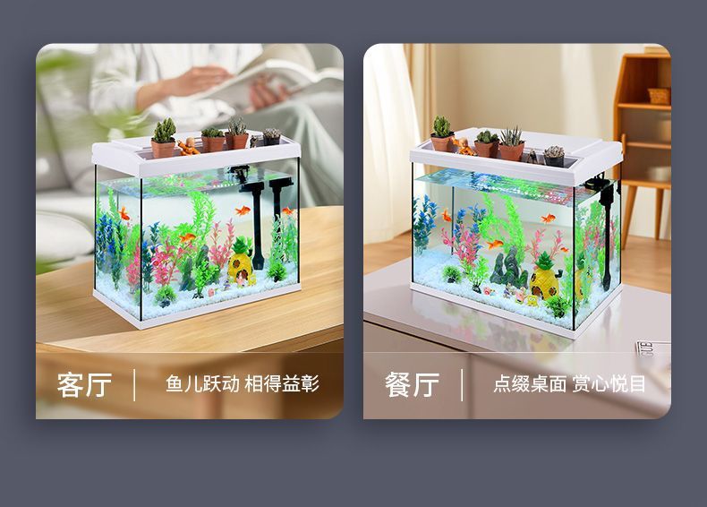 361e7344-ba7b-4014-b35a-5c60f032a7da.jpe