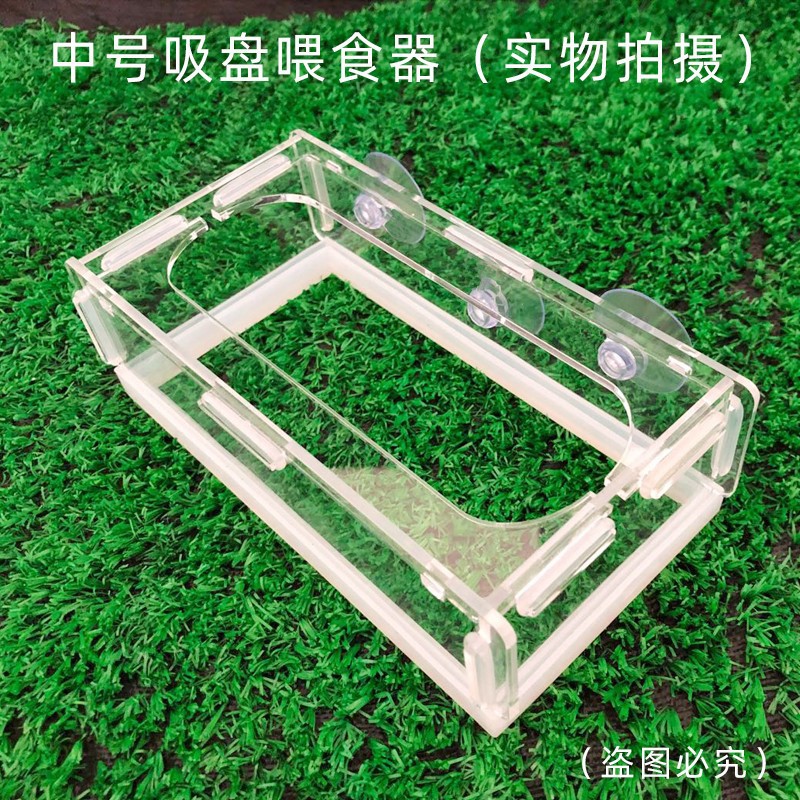 O1CN01EuAORJ1vEAXtPYYk7_!!2861