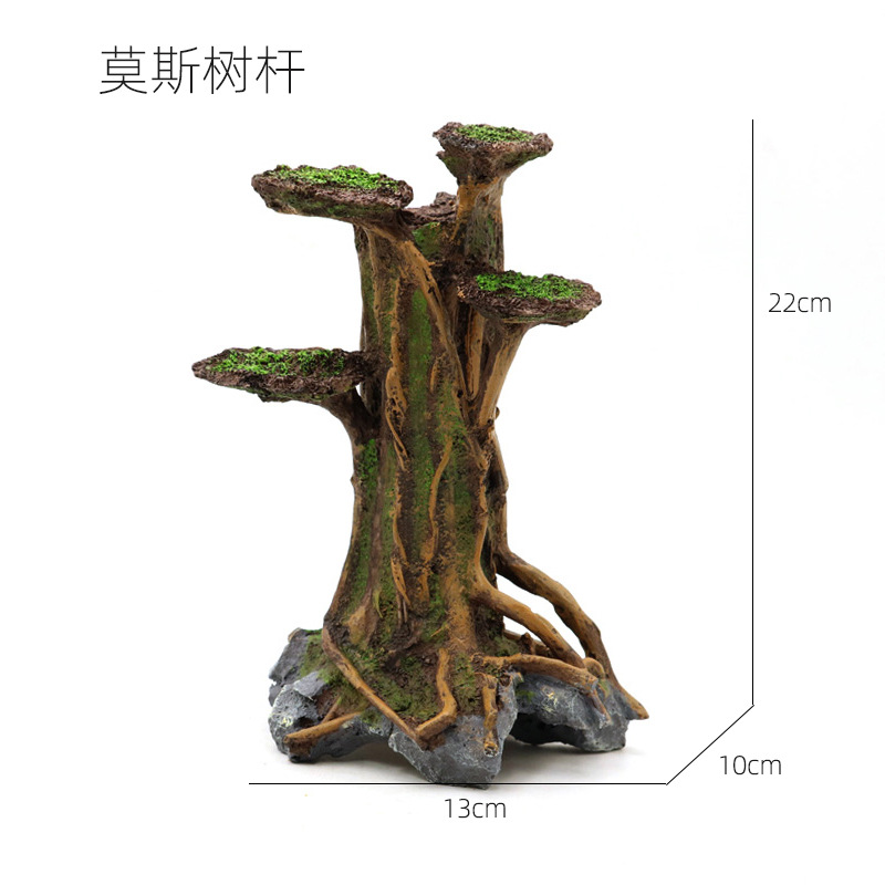 尺寸