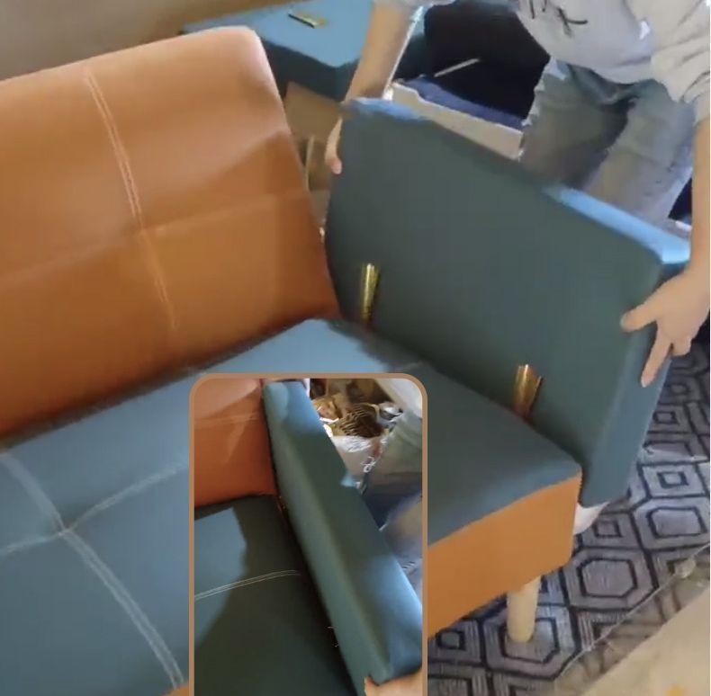 04472dc1-2ba9-440c-8aae-15333c5b8ddc.jpe