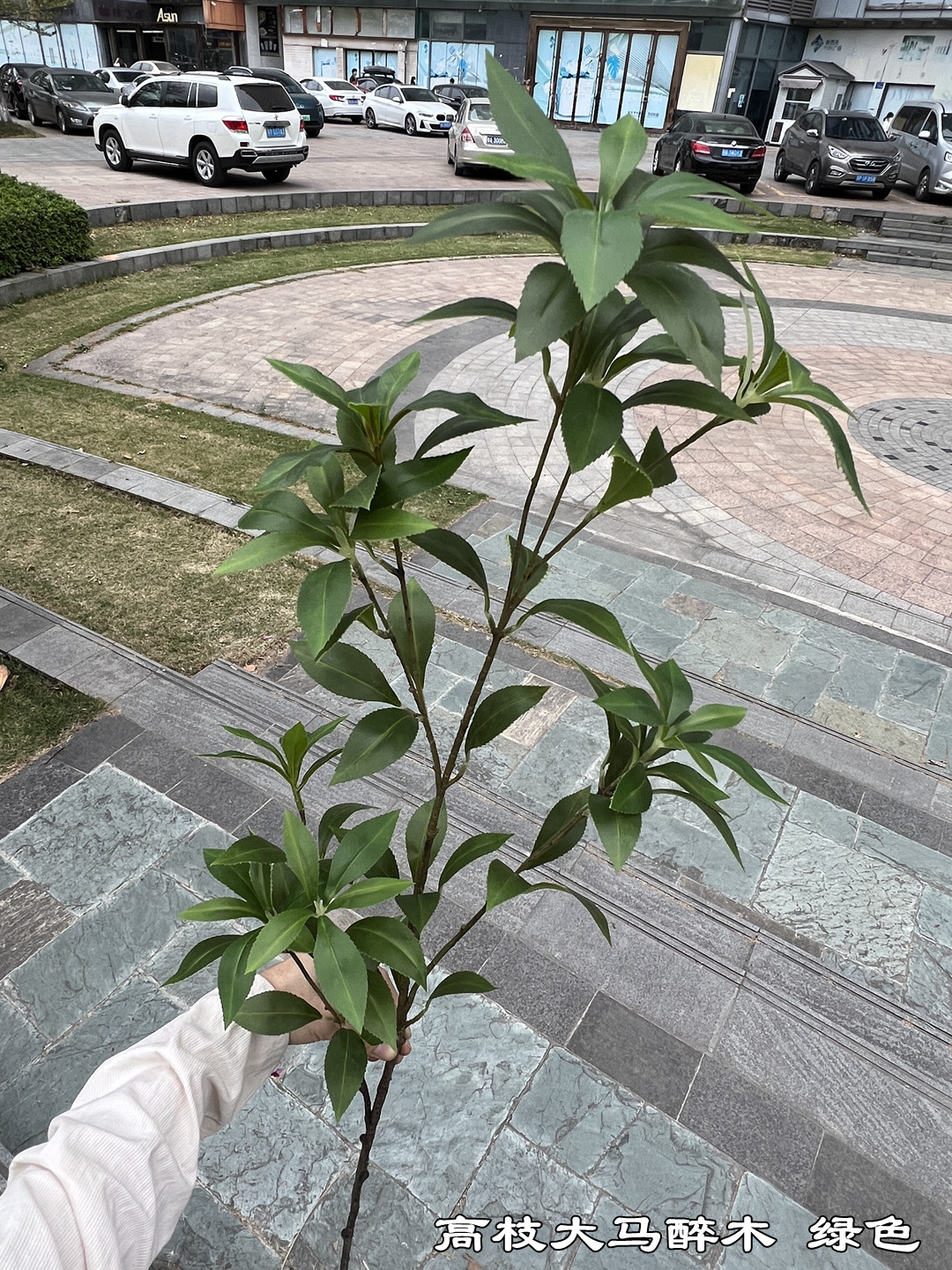 微信图片_20230323175958_副本