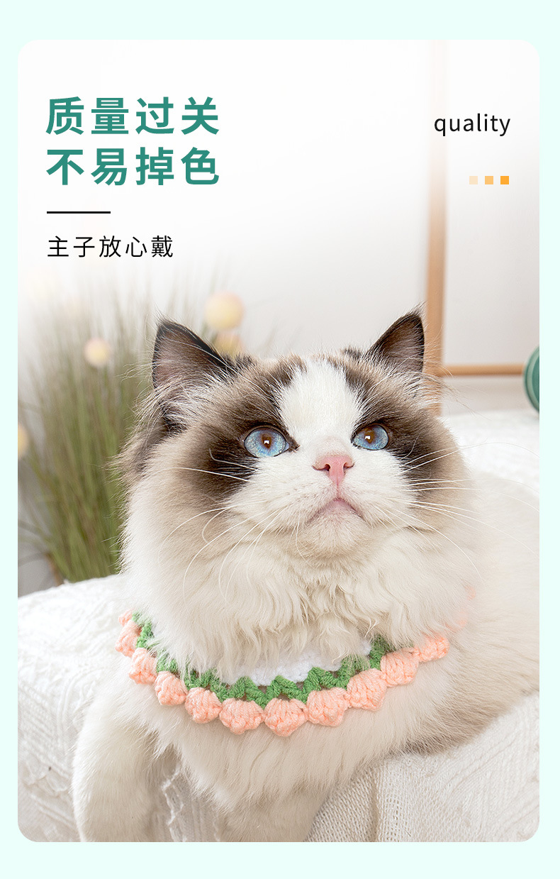 灵喵阿里项圈_06.jpg
