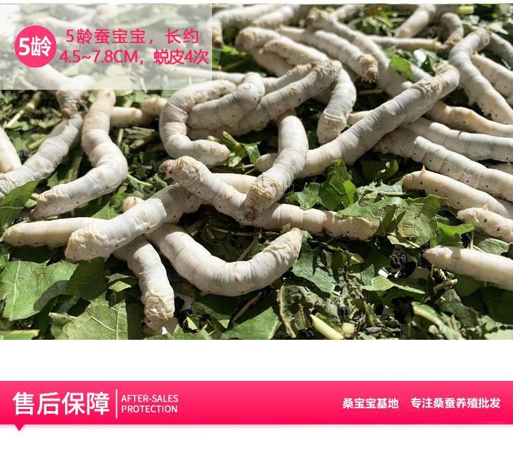 e2feb647-66b3-4e54-b620-b1a5e6c12e04.jpe