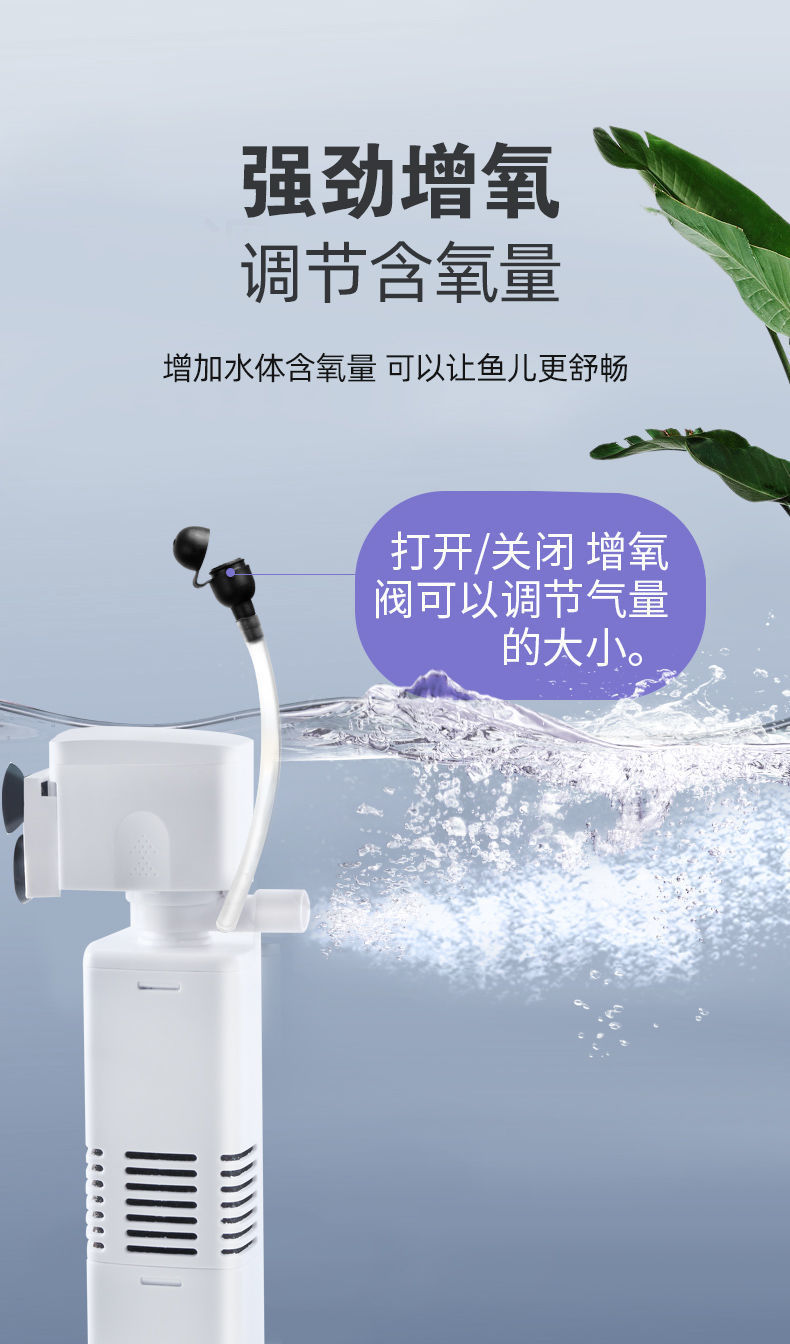 e2f8d612-779e-418f-a669-20eaede04338.jpe