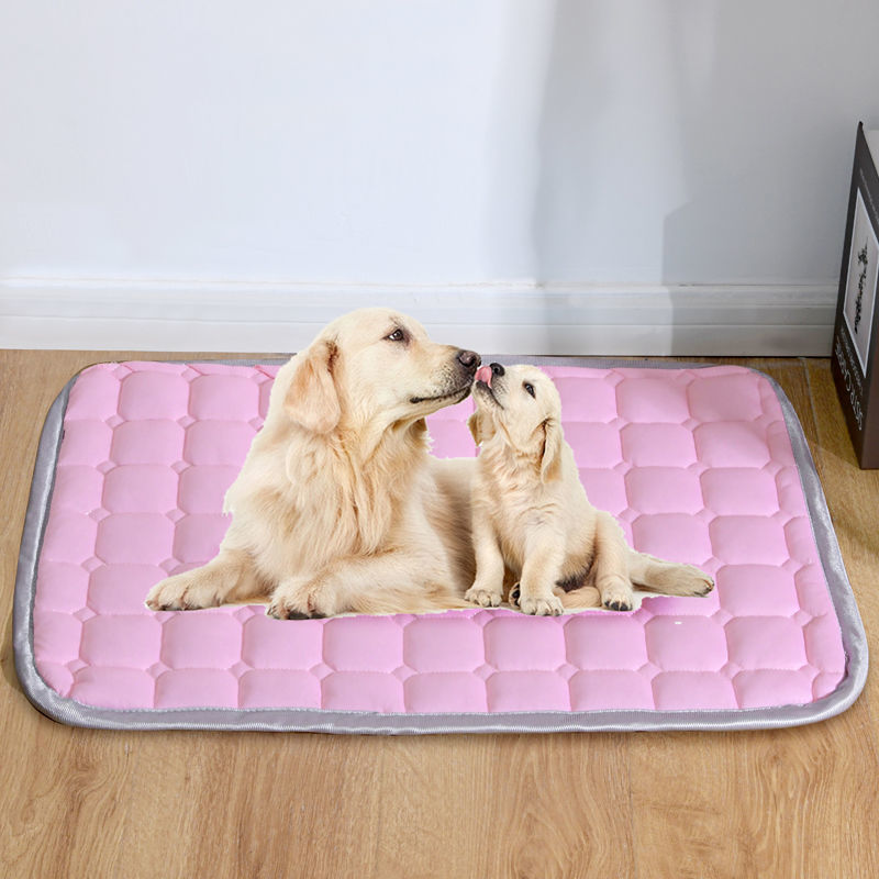 80d5d398-d7a5-4f32-9622-2d22a6a9e7a3.jpe