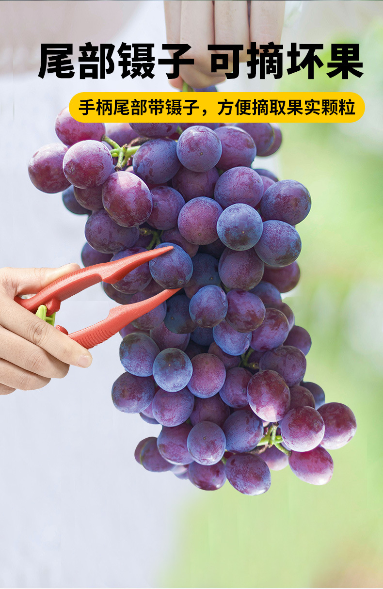 葡萄专业剪刀_06.jpg
