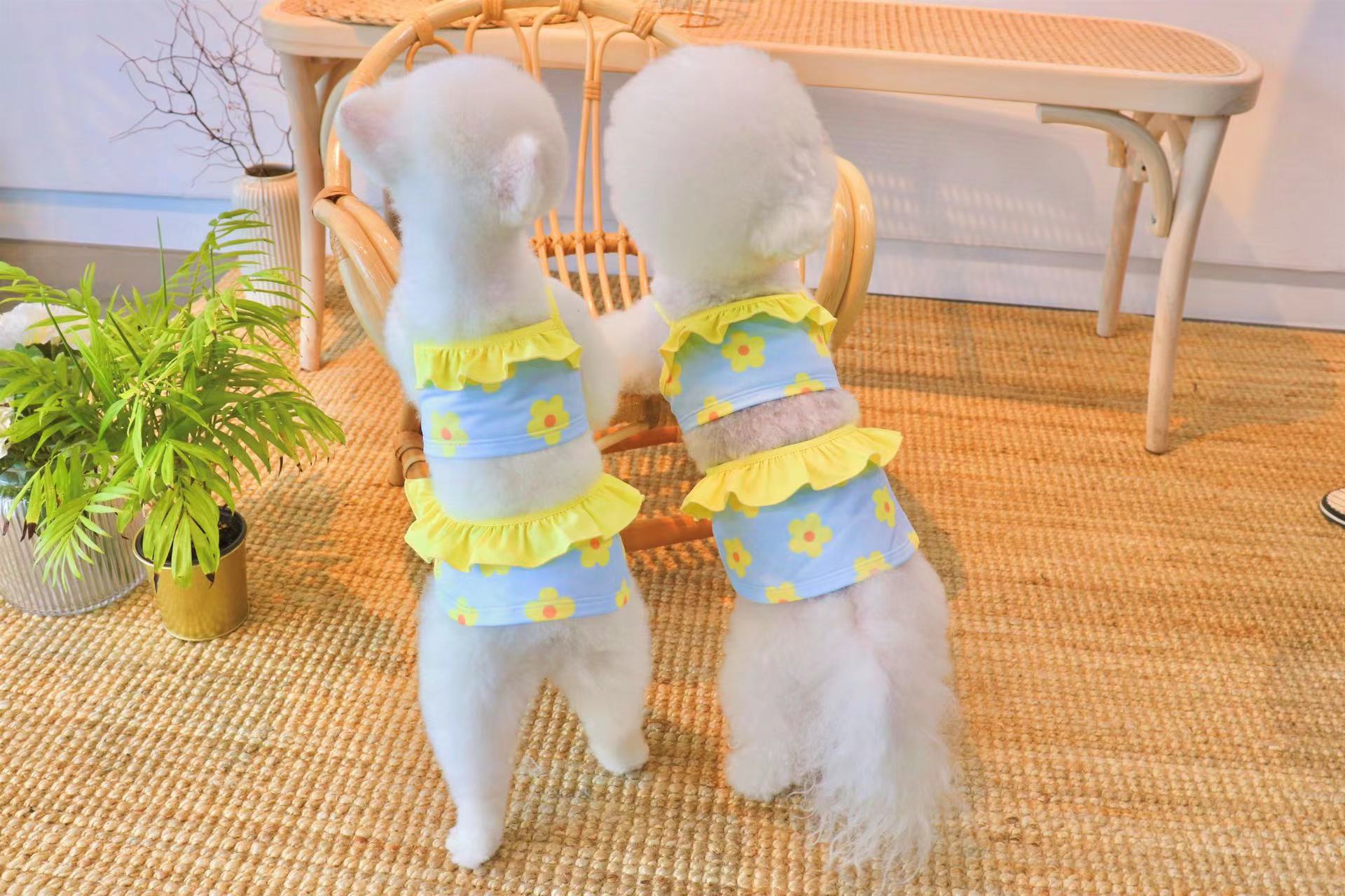 微信图片_20220512103209