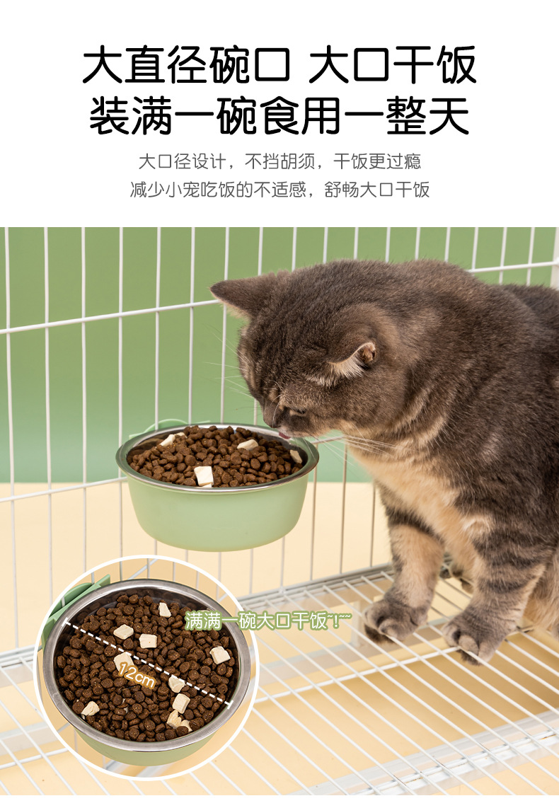 宠物碗_05.jpg