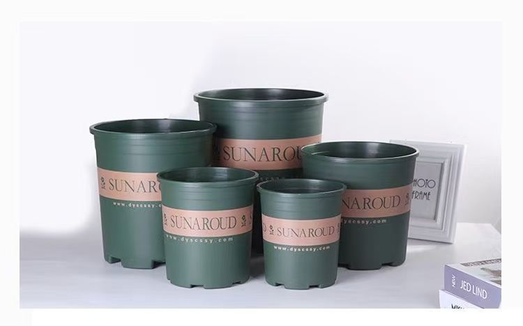 0ad921db-fb85-4cdb-8ab8-73dabdb7d5fa.jpe