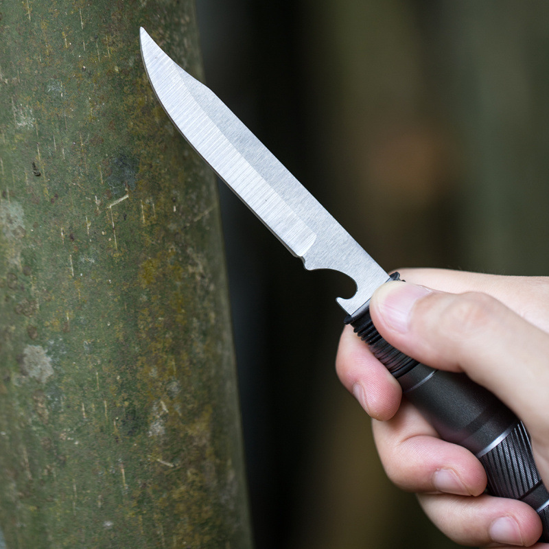 9f6746cd-d091-401c-b302-08bf70df9a71.jpe