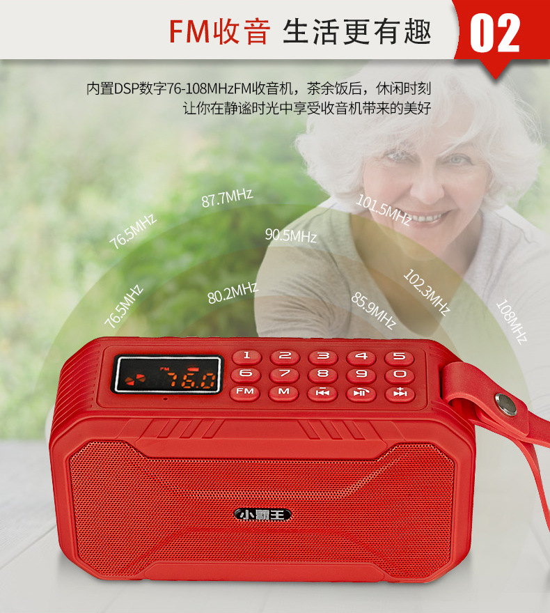 D100_04.jpg