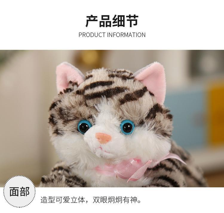 猫猫_09.jpg