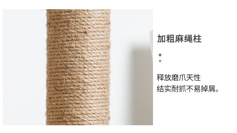 5bf8df71-508c-4b06-b7d7-b6810c76a70b.jpe