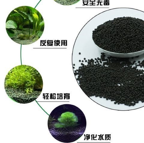 41ab3eb4-7baf-4d8b-b1cf-dd1c466e5f87.jpe