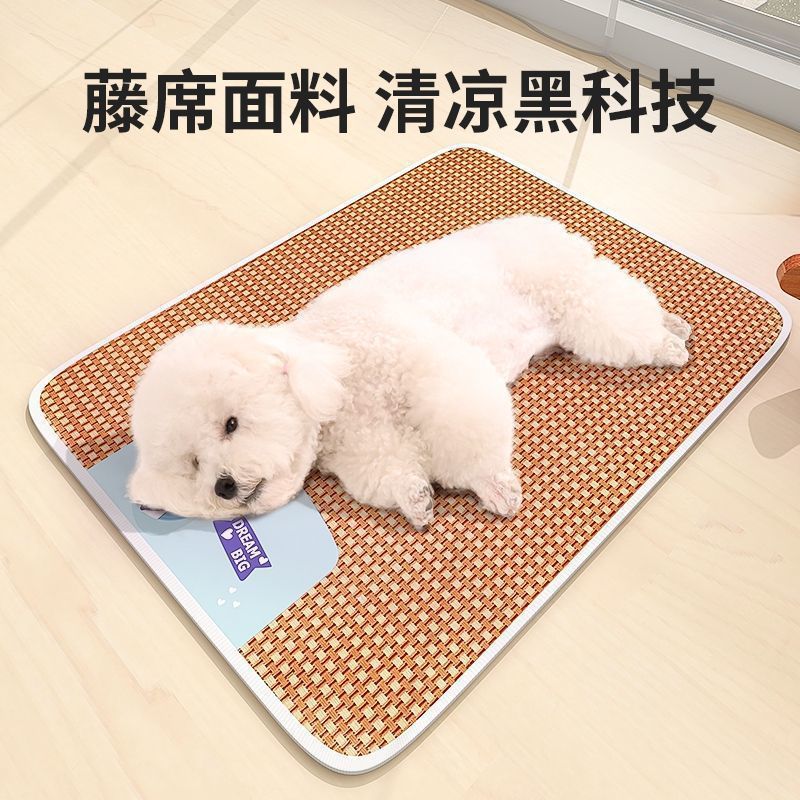 /O1CN01P9651x1dKRAZPn1yg_!!2218577413717-0-cib.jpg?x-oss-process=image/format,png