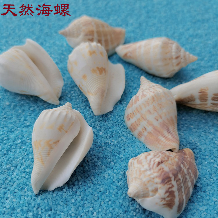 MTXX_20220414095850 拷贝