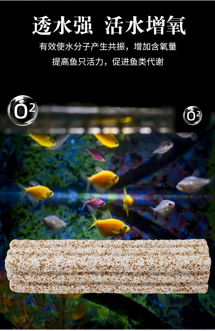a86cd1fb-eceb-4813-abc7-ae4161307445.jpe