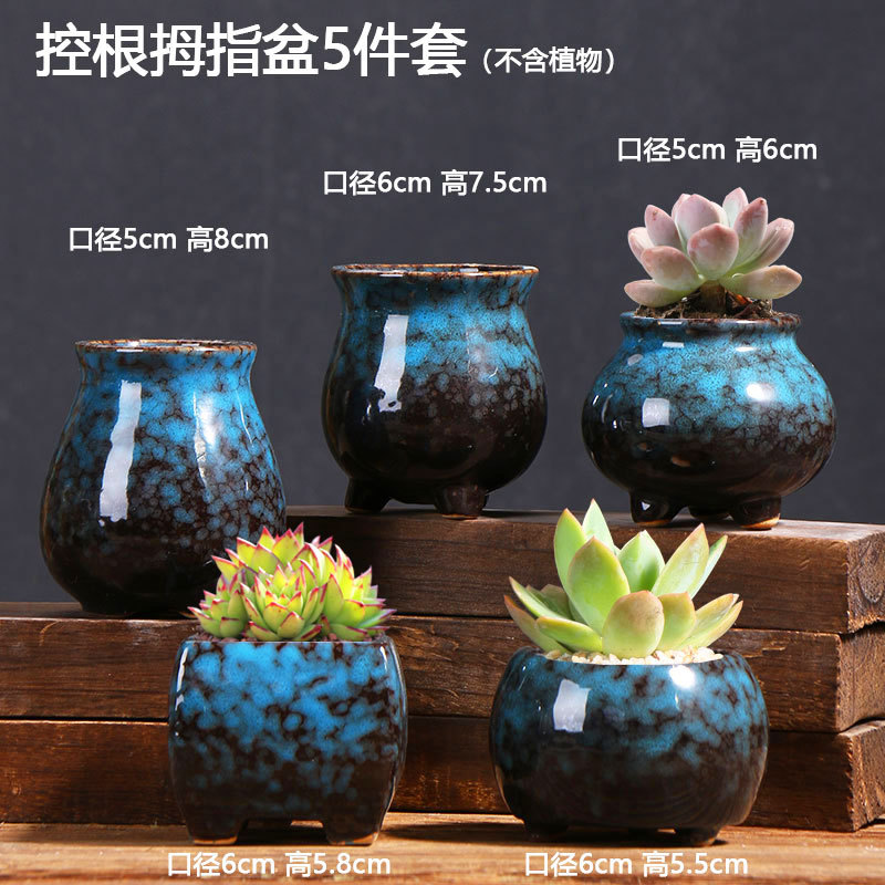 控根拇指盆5件套116