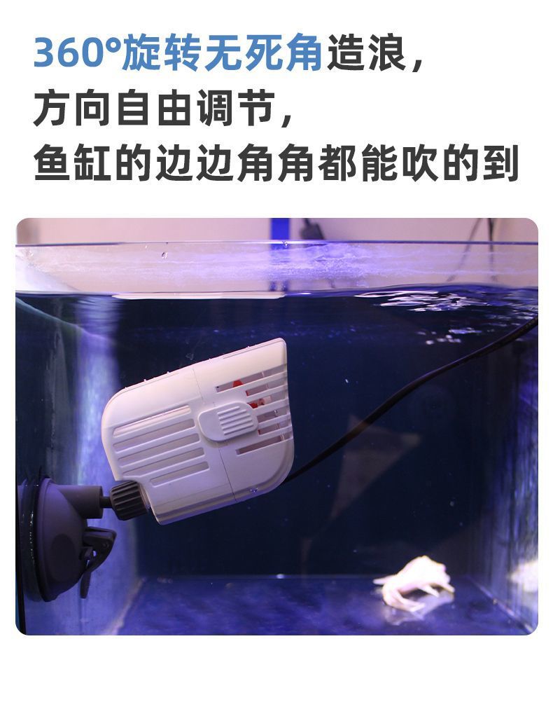 9abcf241-00b4-48a7-a8f1-2827d136105e.jpe