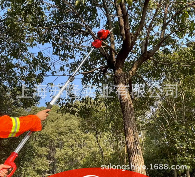 kvnvu开由L42VS810电动