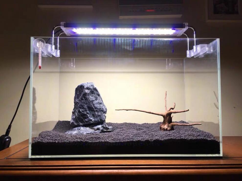 db52e6e6-a156-4956-ac25-ec0bd498bf32.jpe