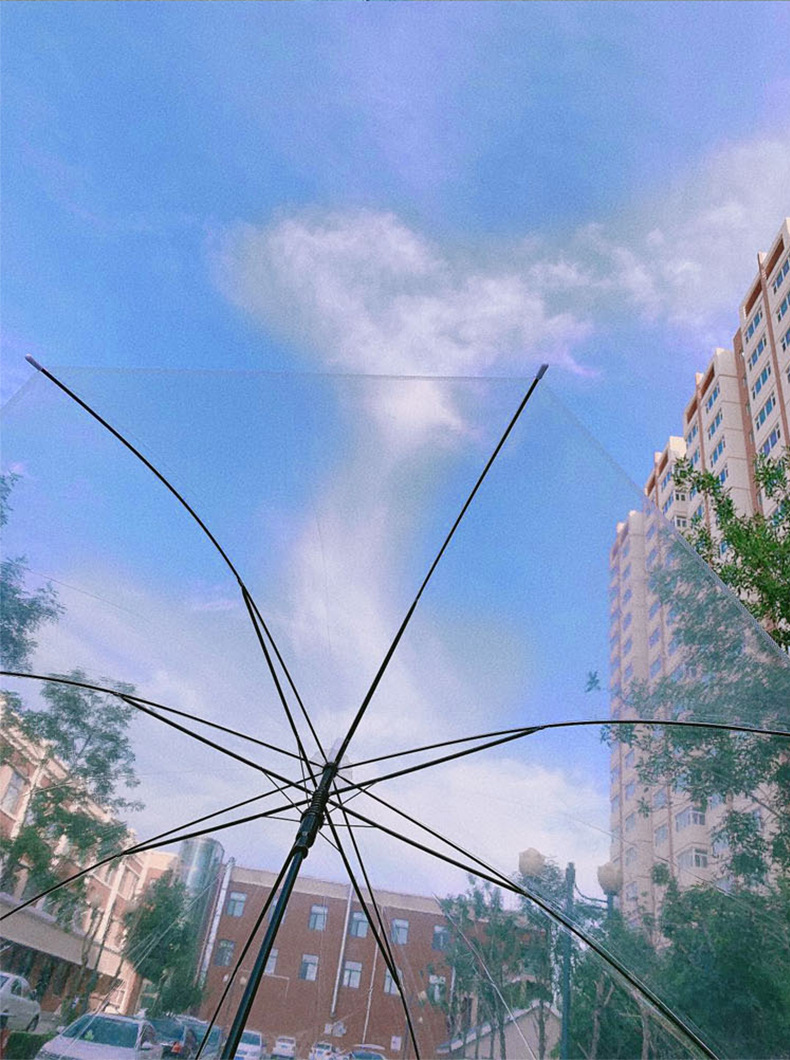 透明伞