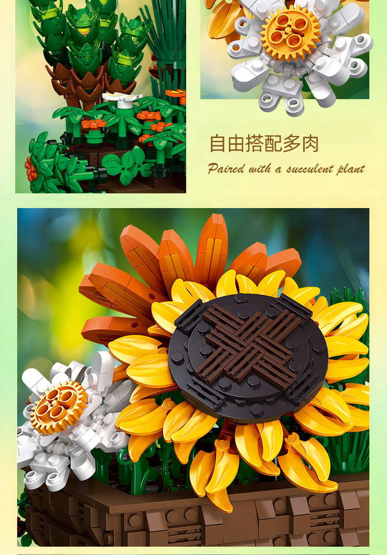 详情-36.jpg