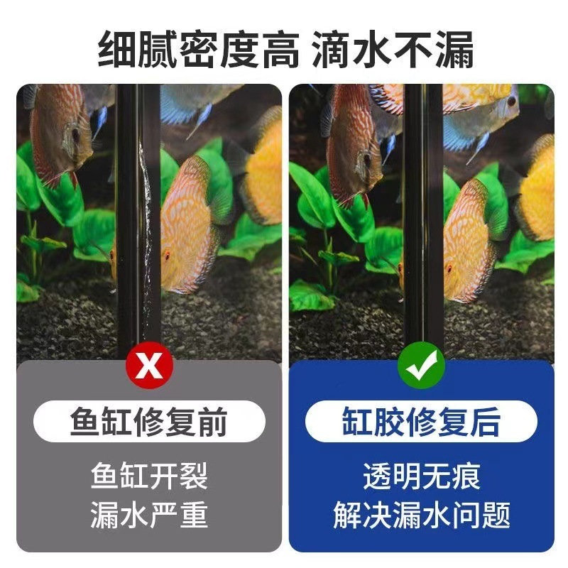 bbdb2469-acb3-4382-a985-1dfd12d0bb38.jpe