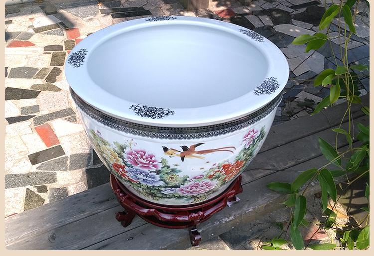 33e4c37c-59ae-46f6-90cc-9e485e3a490f.jpe