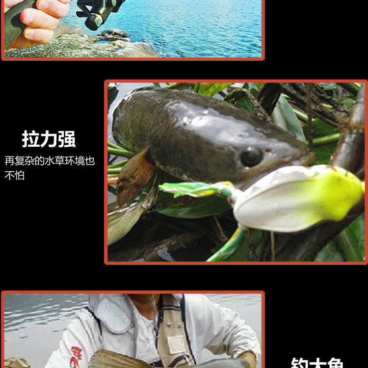 5acde8d3-274d-47a6-b62f-79f4fc3eaa1d.jpe