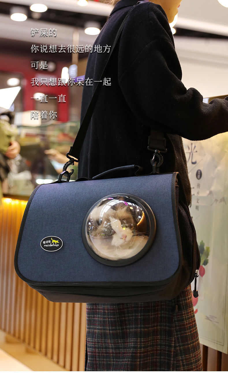 080f1221-1d1d-4e39-bbb0-5f77574dac60.jpe