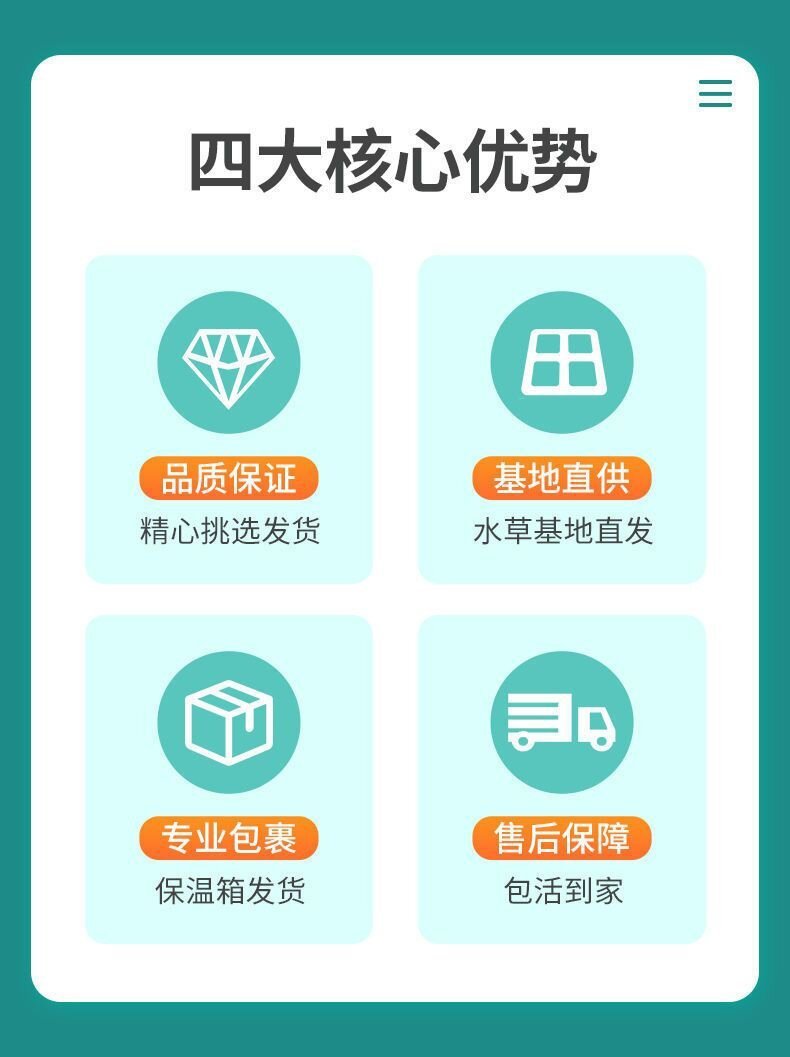 b03d5189-fe77-4cae-bdda-5039350984a3.jpe