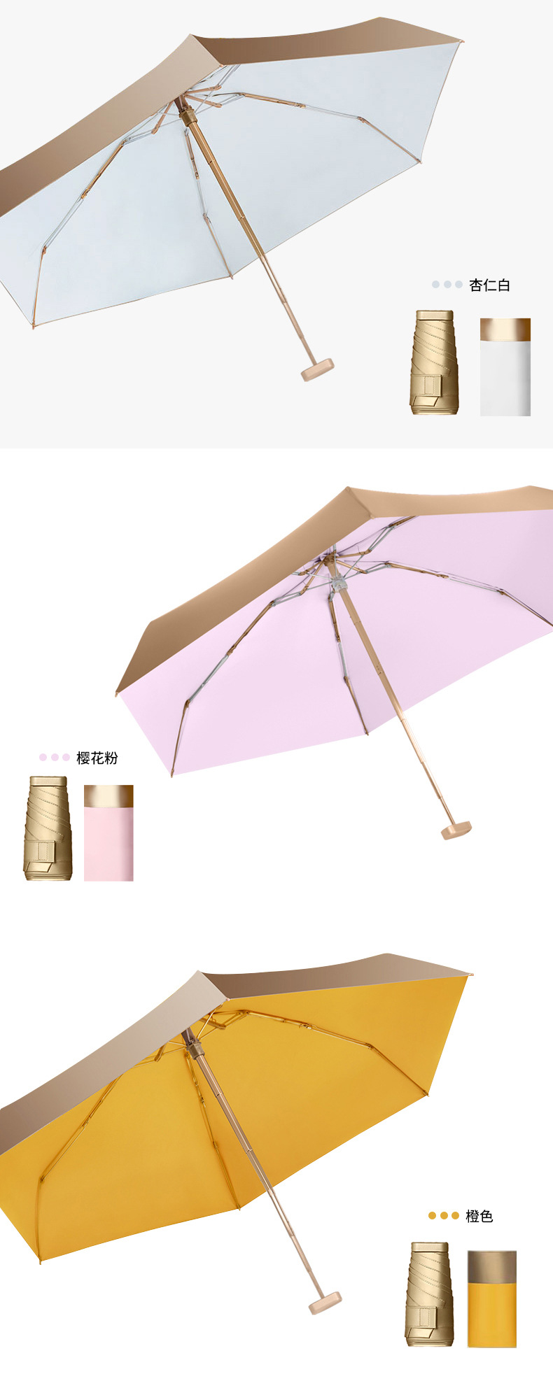 小金伞_10.jpg
