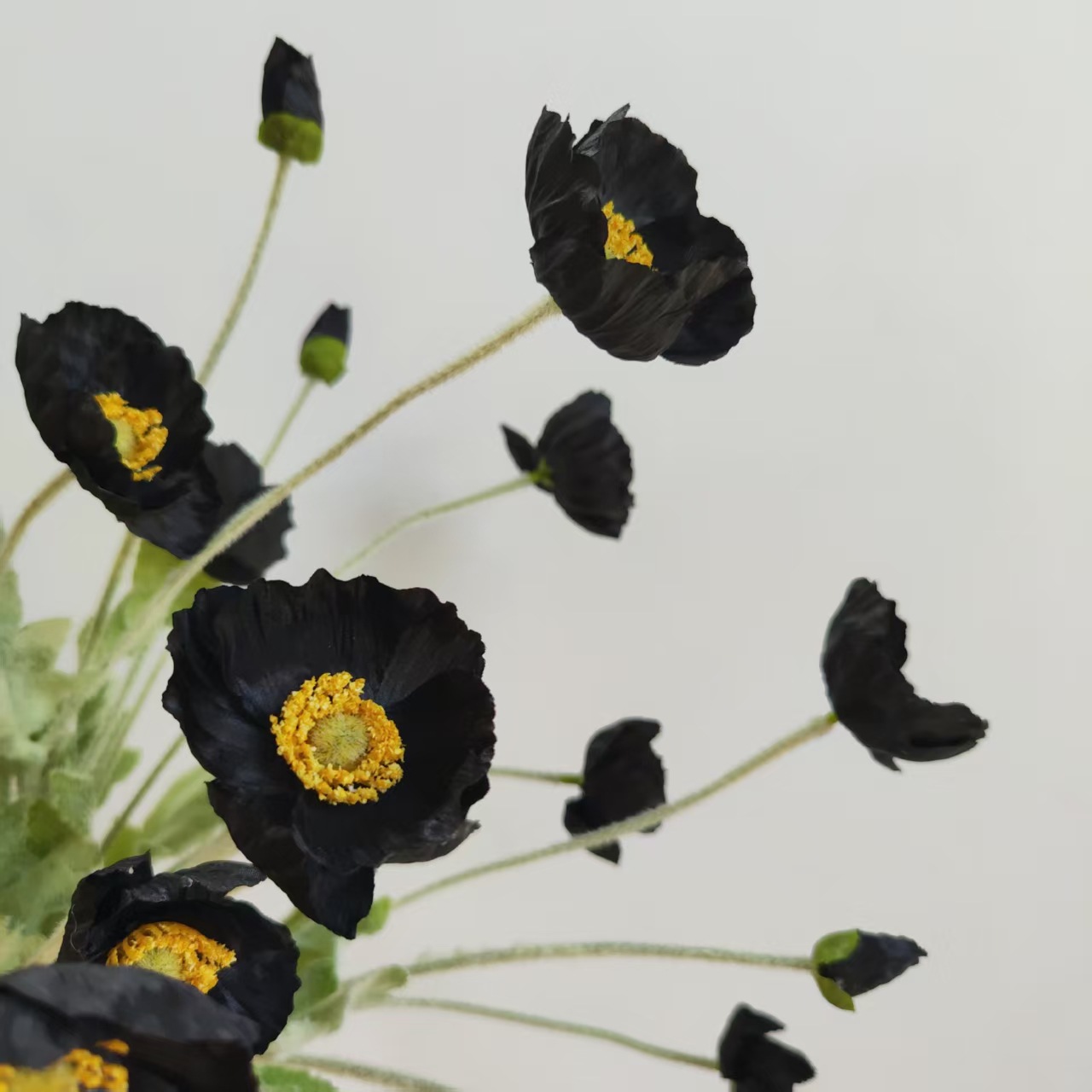 d4c7d8701e5c0782da104f43a38e9f