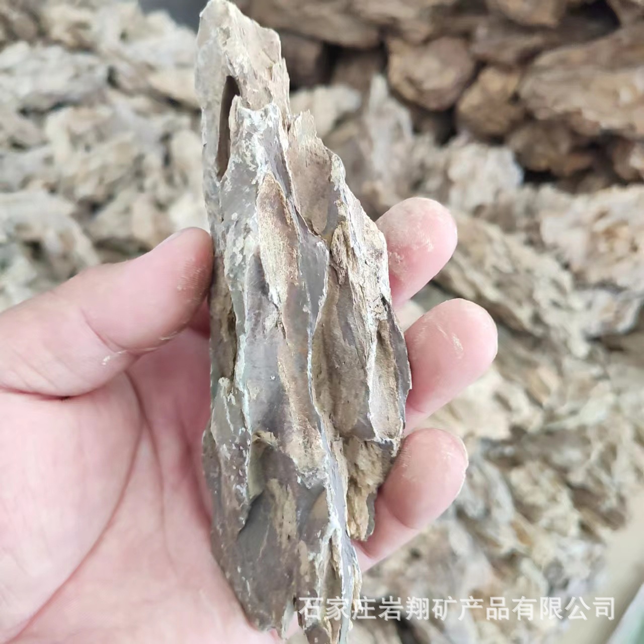 e2cc9dba7879d185f031d6a3c87555