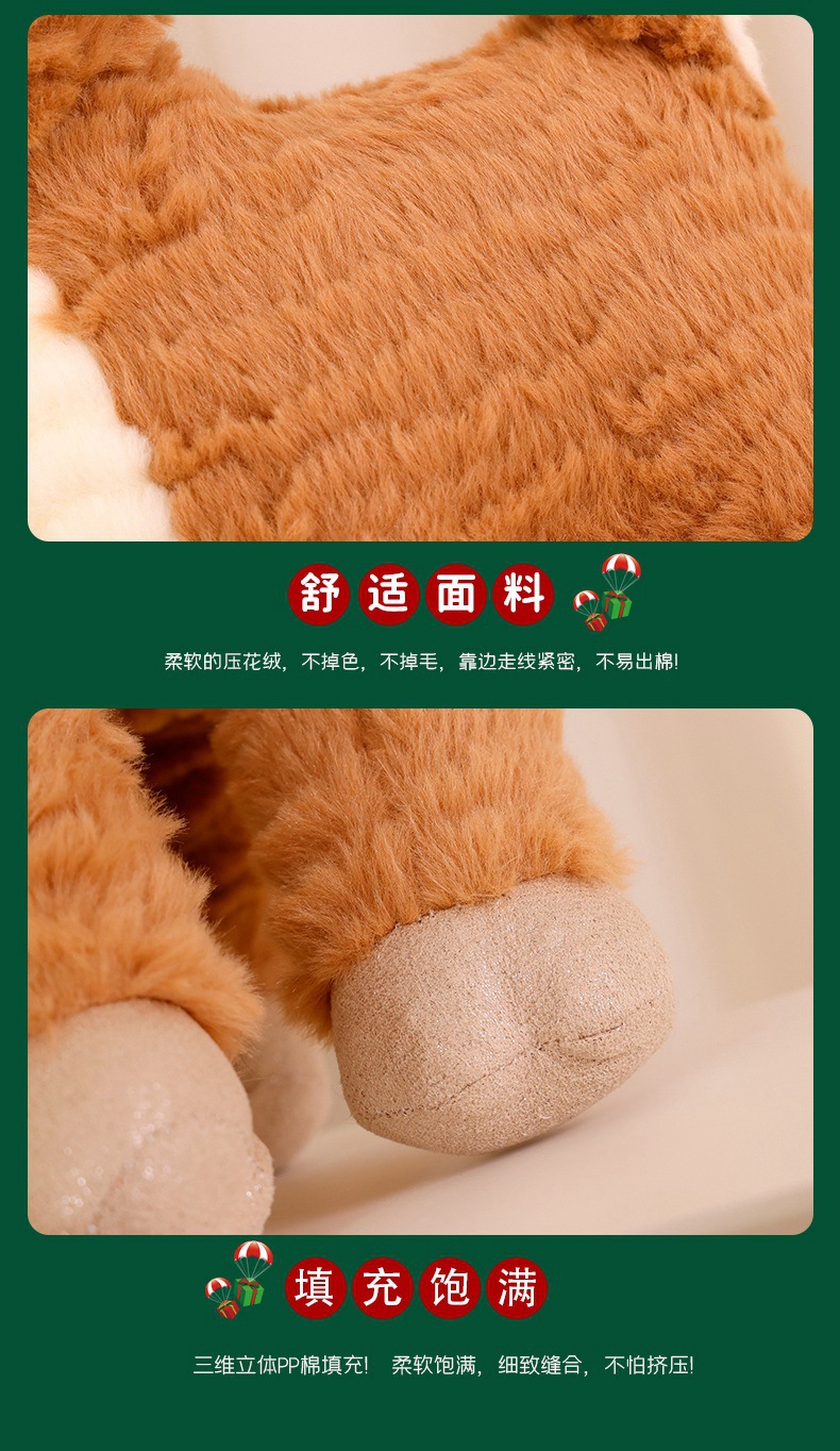 35-详情 (10).jpg