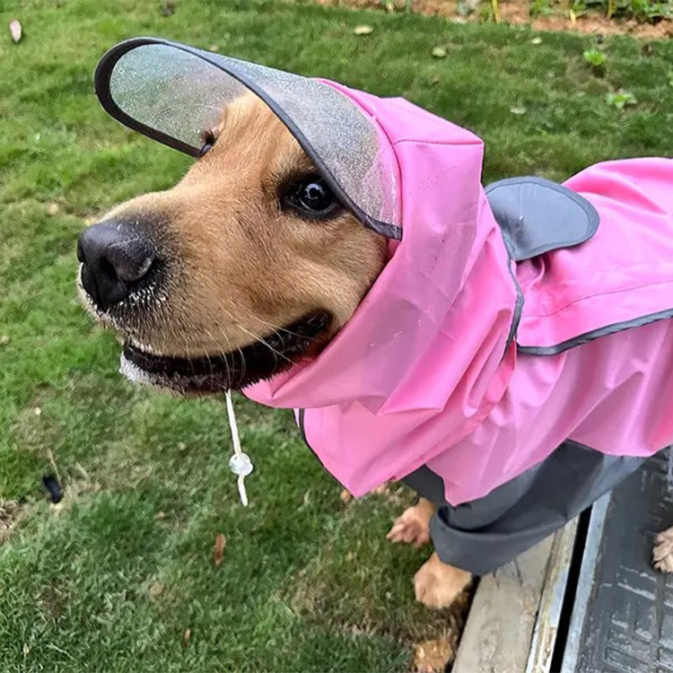 a7321723-65d8-4bcf-8c16-7514d38ebb1e.jpe