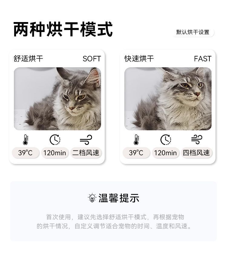 ab2d6c13-7b43-4f54-ae64-8035db883e7c.jpe