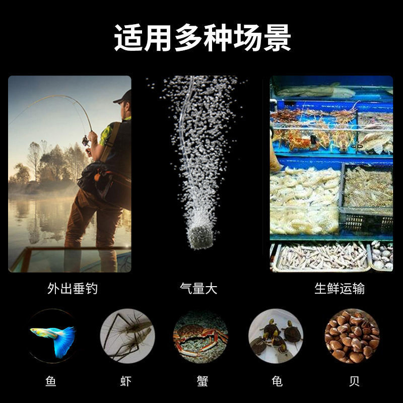 8e0e2e36-a8a4-4046-8192-e4525f3d3dd4.jpe